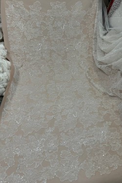 lace with chantilly Columnea