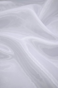 organza Chanel